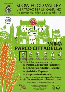 SFV2015_LocandinaMaggioA51