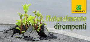 legambiente parma 10.0