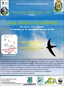 festivalrondoni (1)