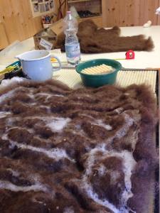 Le mani nella lana (6)