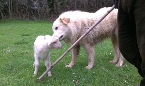 Angela e  Antonio (2)