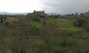 Tuscania (2)