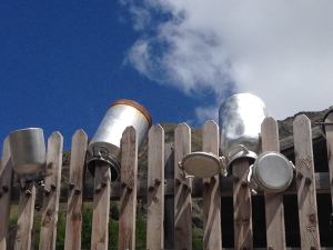 Pastore alta quota (1)