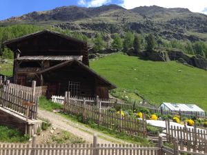 Pastore alta quota (6)